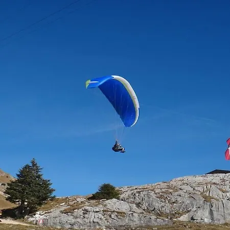 Weinberg By Managers * Kirchberg in Tirol