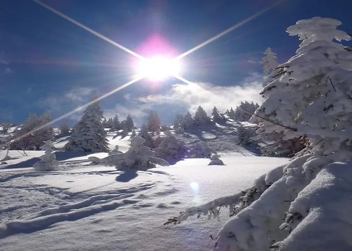 Appartement Weinberg By Managers *