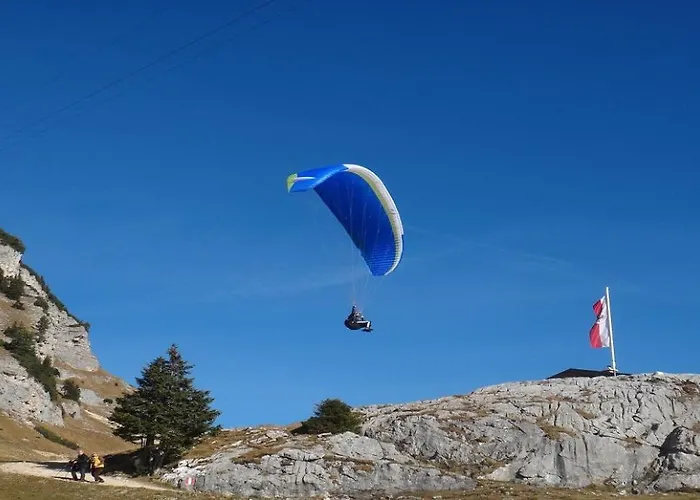 Weinberg By Managers * Kirchberg in Tirol