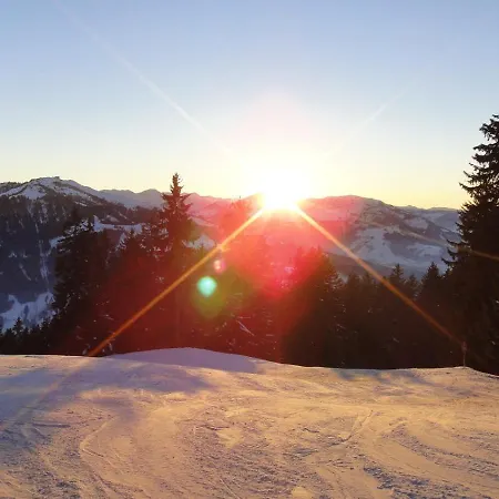 Weinberg By Managers Lejlighed Kirchberg in Tirol