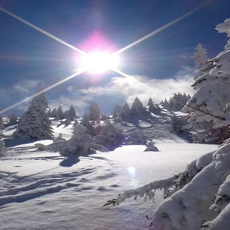 Appartement Weinberg By Managers *