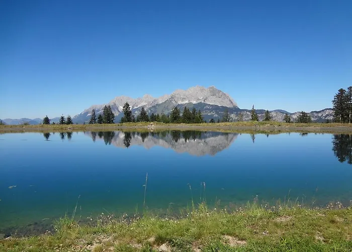 Weinberg By Managers アパート キルヒベルク・イン・チロル
